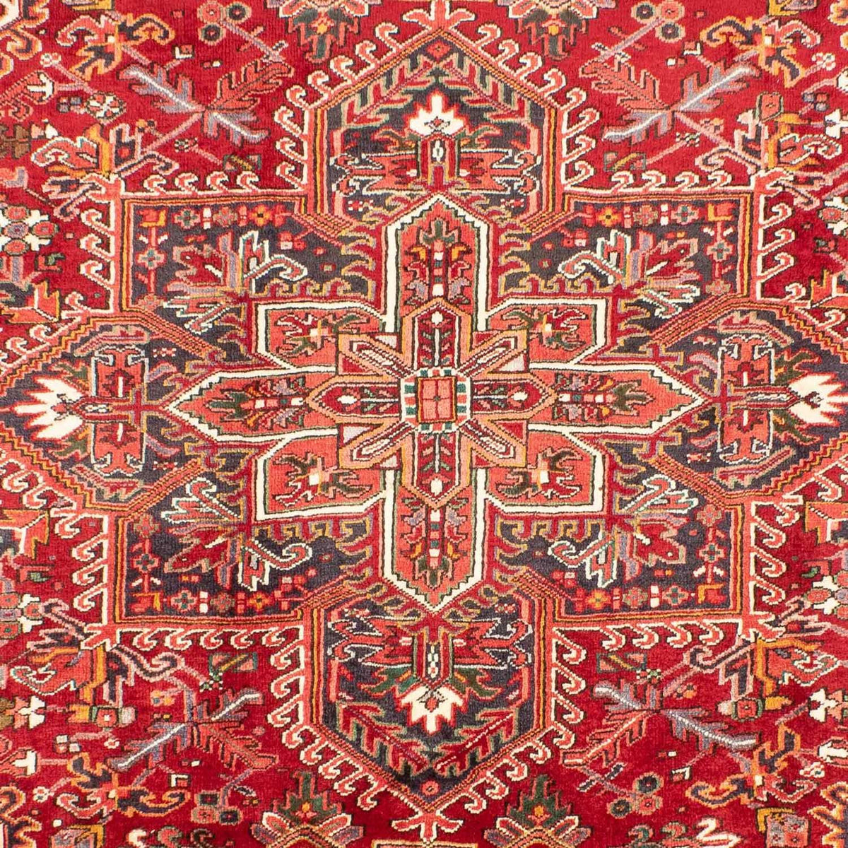 Perserteppich - Nomadic 300 x 212 cm