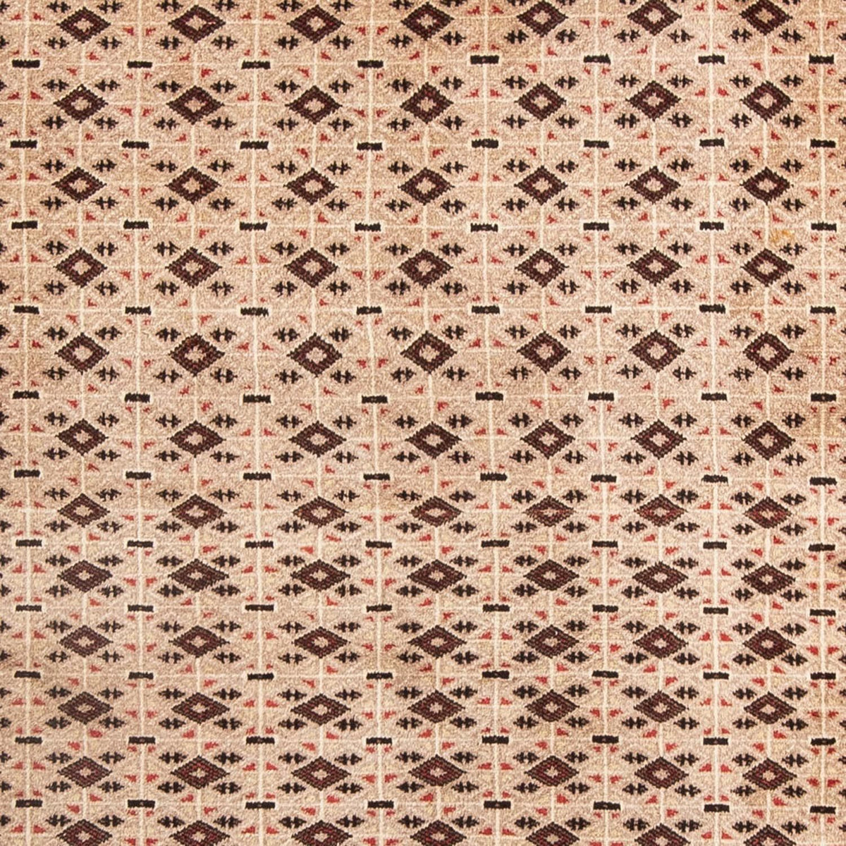 Belutsch Teppich 181 x 134 cm
