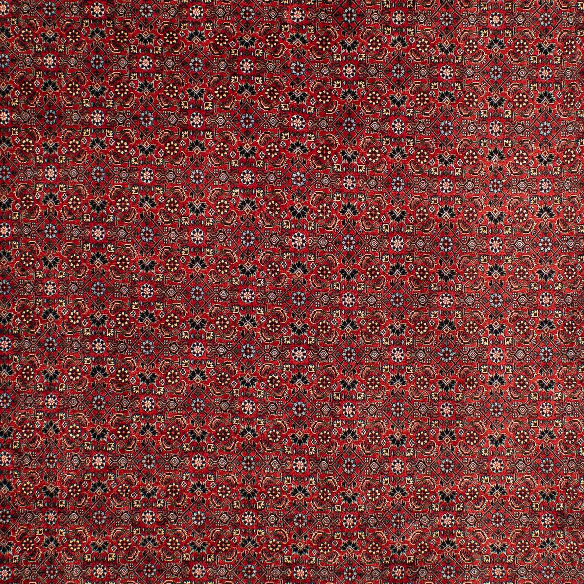 Perserteppich - Bidjar 295 x 203 cm Teppich Wohnzimmer