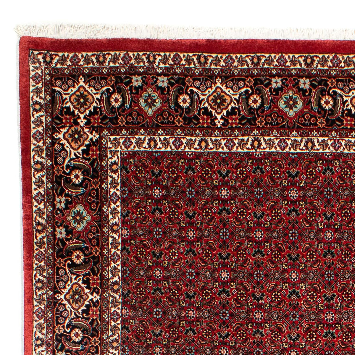 Perserteppich - Bidjar 295 x 203 cm Teppich Wohnzimmer