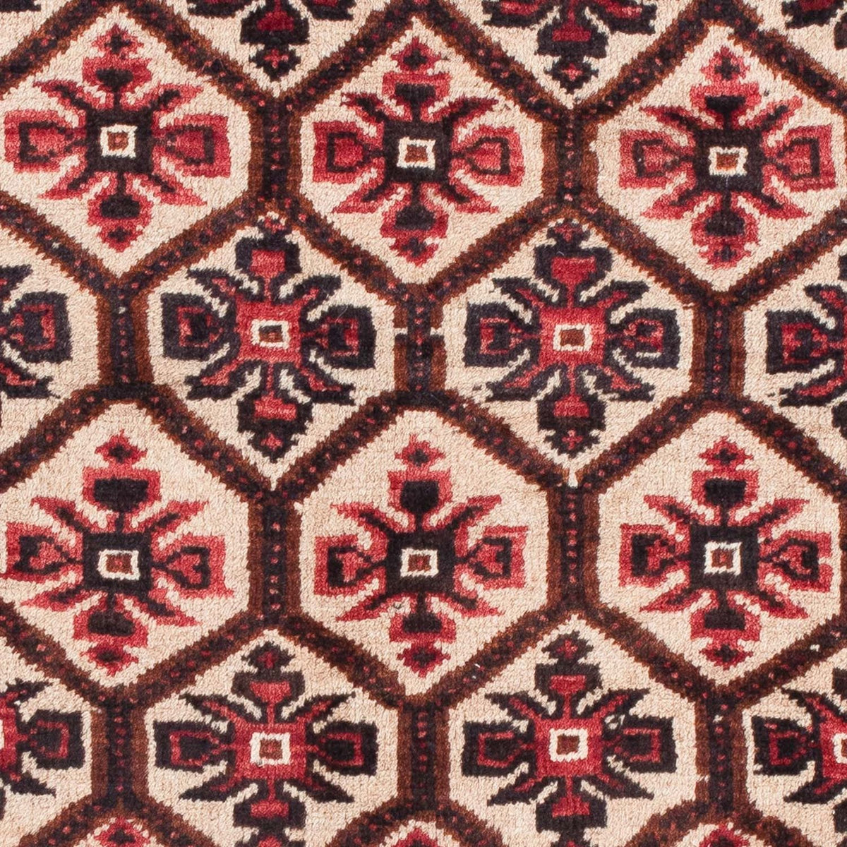Belutsch Teppich 150 x 86 cm
