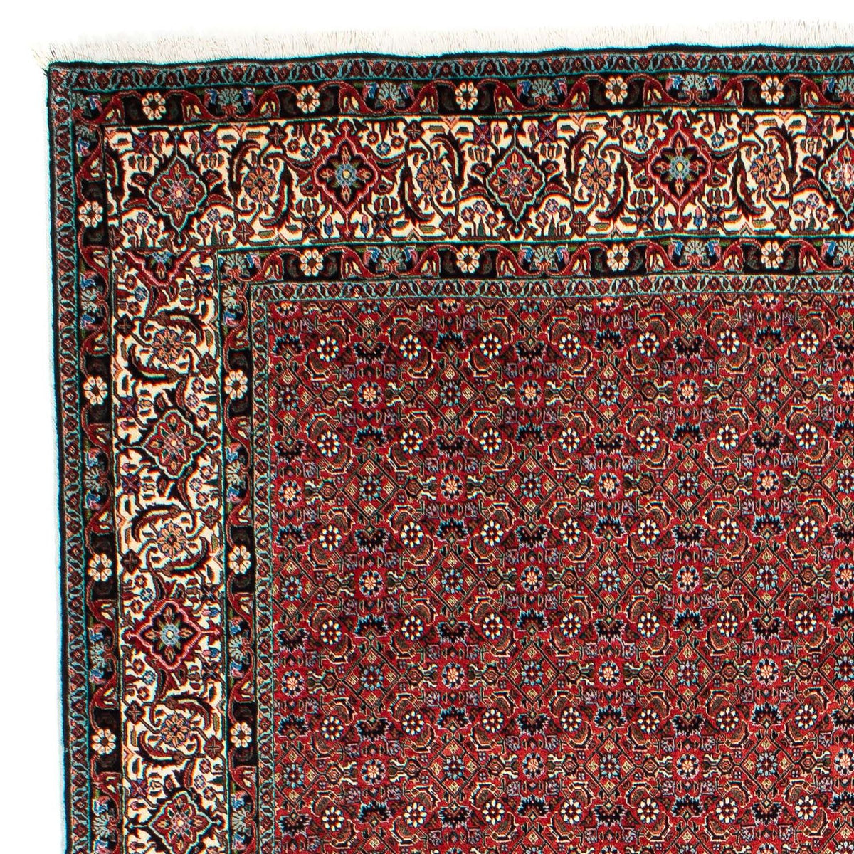 Perserteppich - Bidjar 299 x 203 cm