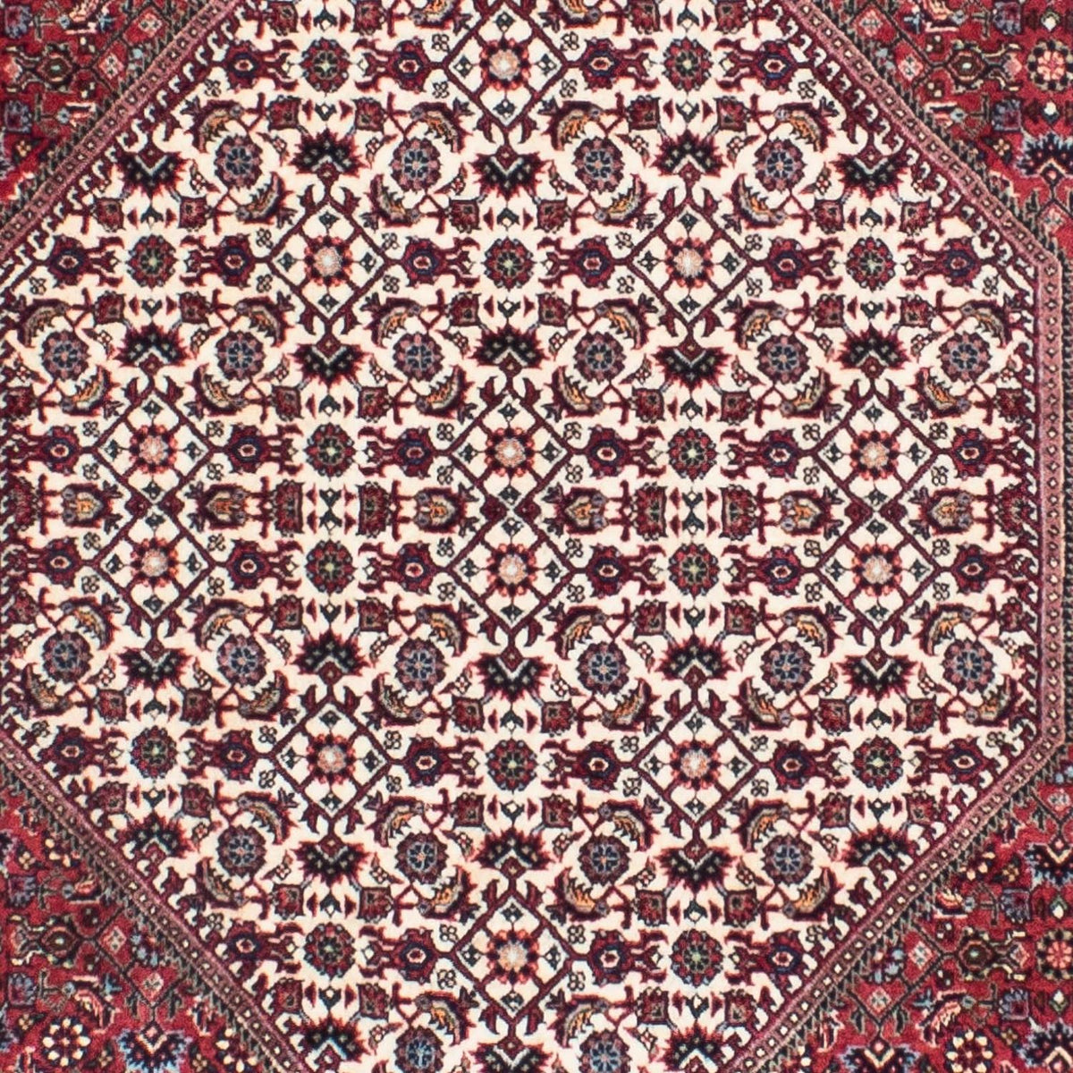 Perserteppich - Bidjar - Royal 306 x 91 cm