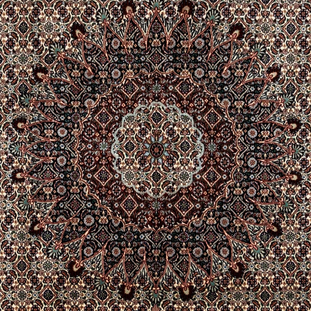 Perserteppich - Classic 360 x 251 cm