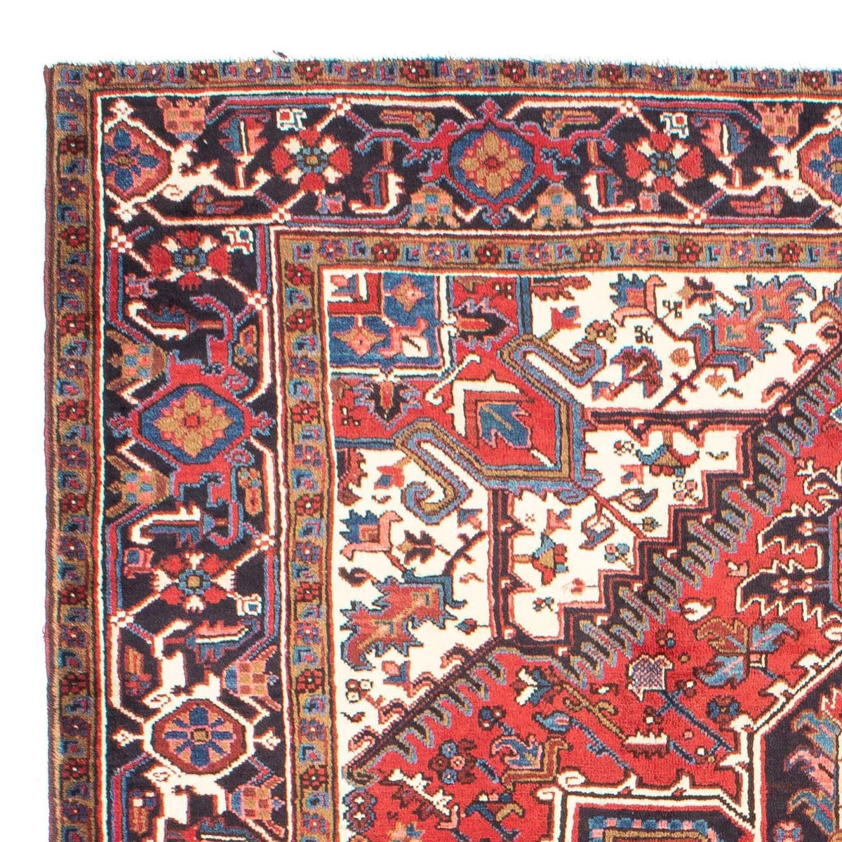 Perserteppich - Nomadic 262 x 203 cm