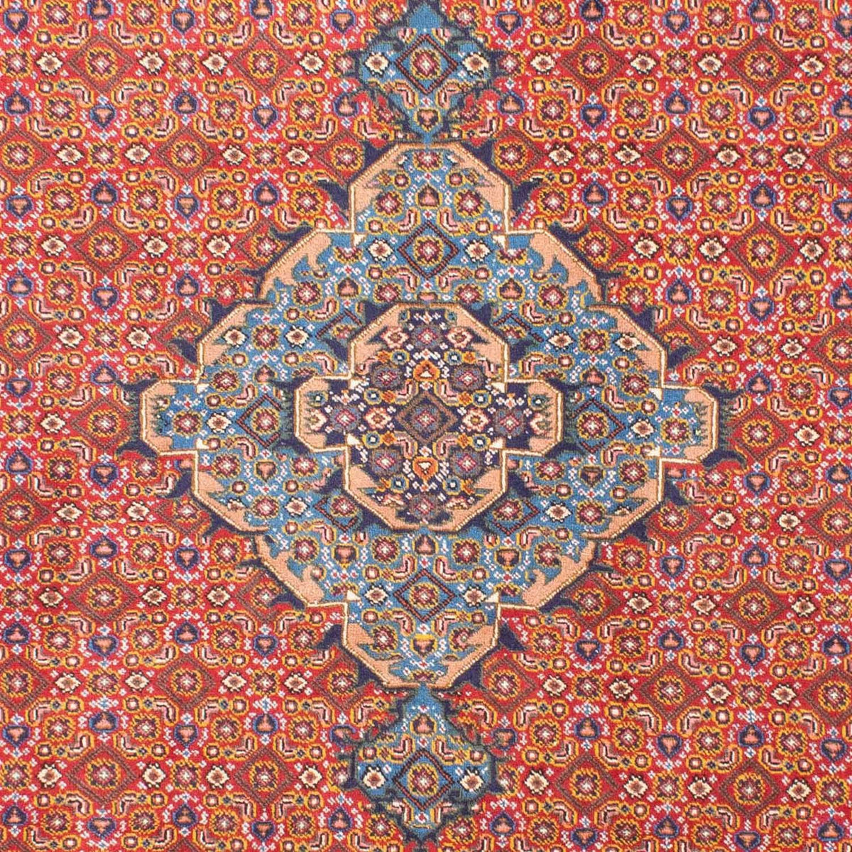 Perserteppich - Nomadic 298 x 205 cm