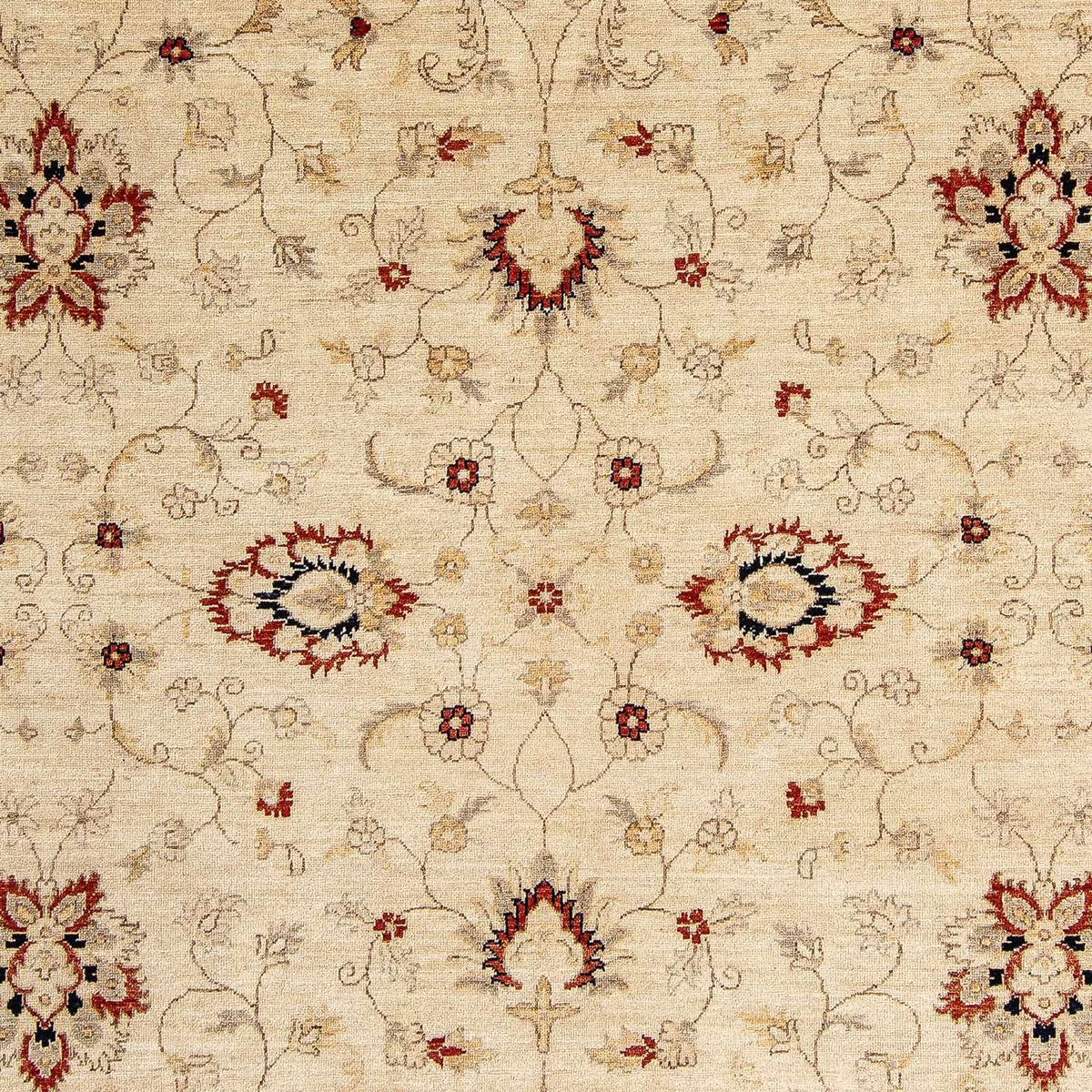 Ziegler Teppich 297 x 246 cm