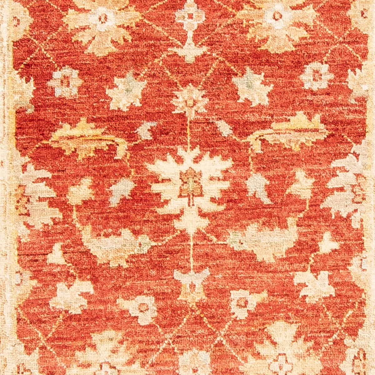 Ziegler Teppich 263 x 73 cm