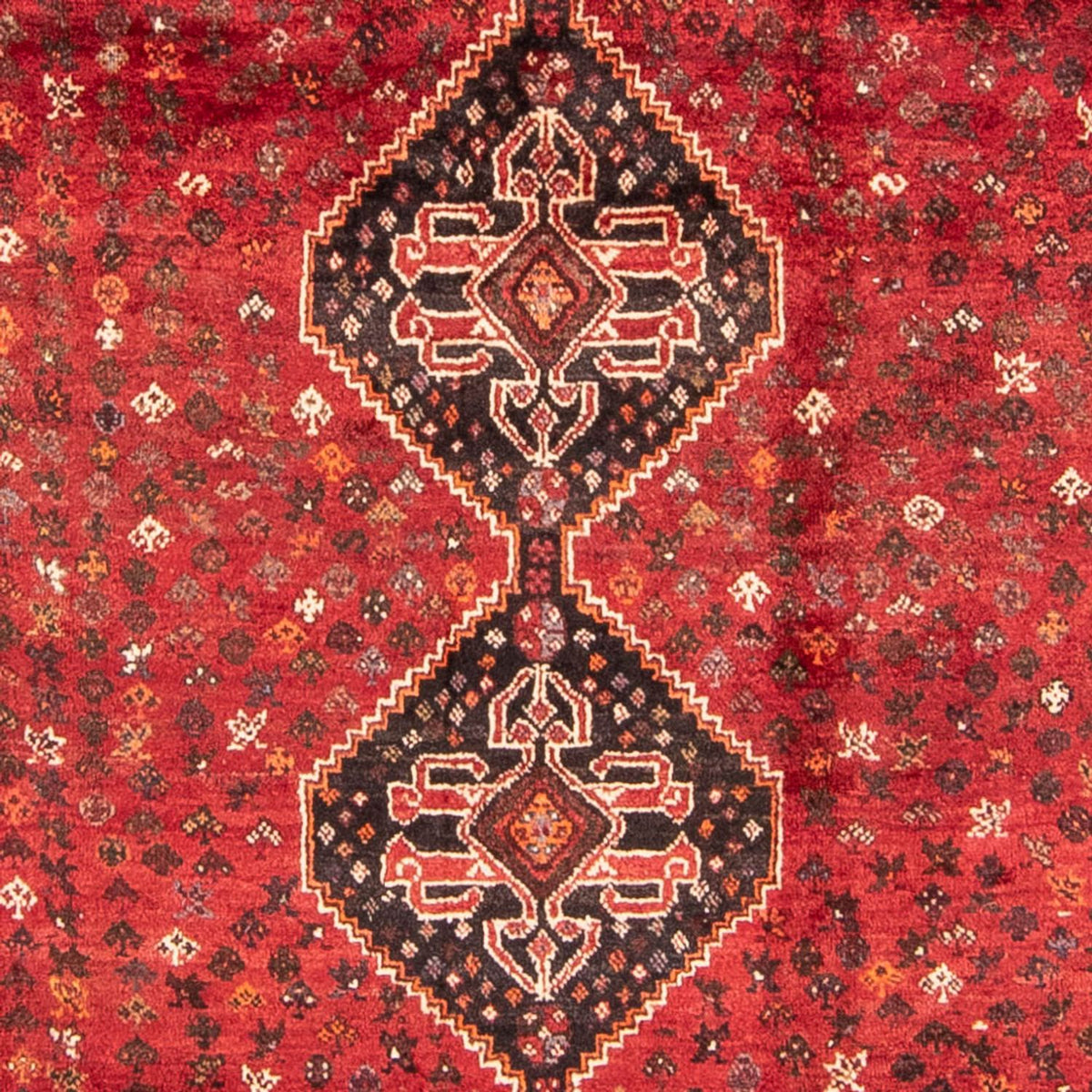 Perserteppich - Nomadic 310 x 227 cm
