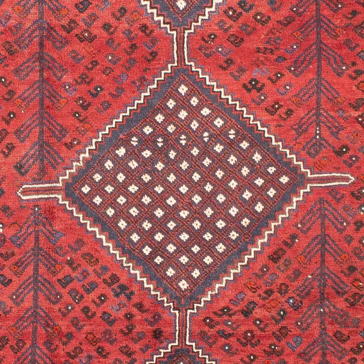Perserteppich - Nomadic 310 x 215 cm