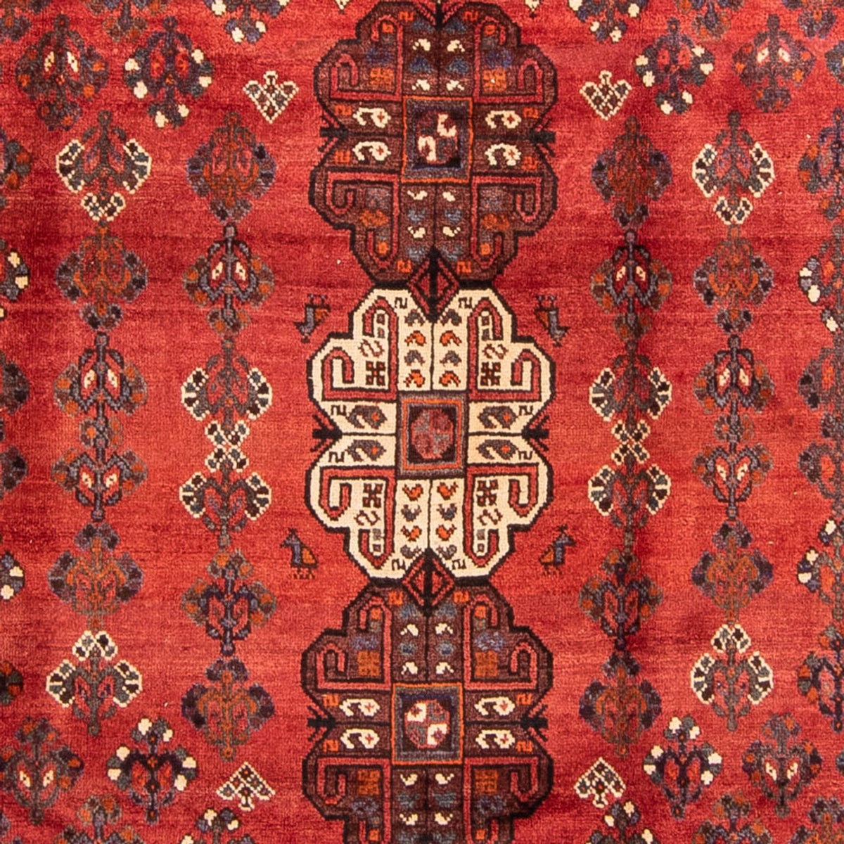 Perserteppich - Nomadic 323 x 235 cm