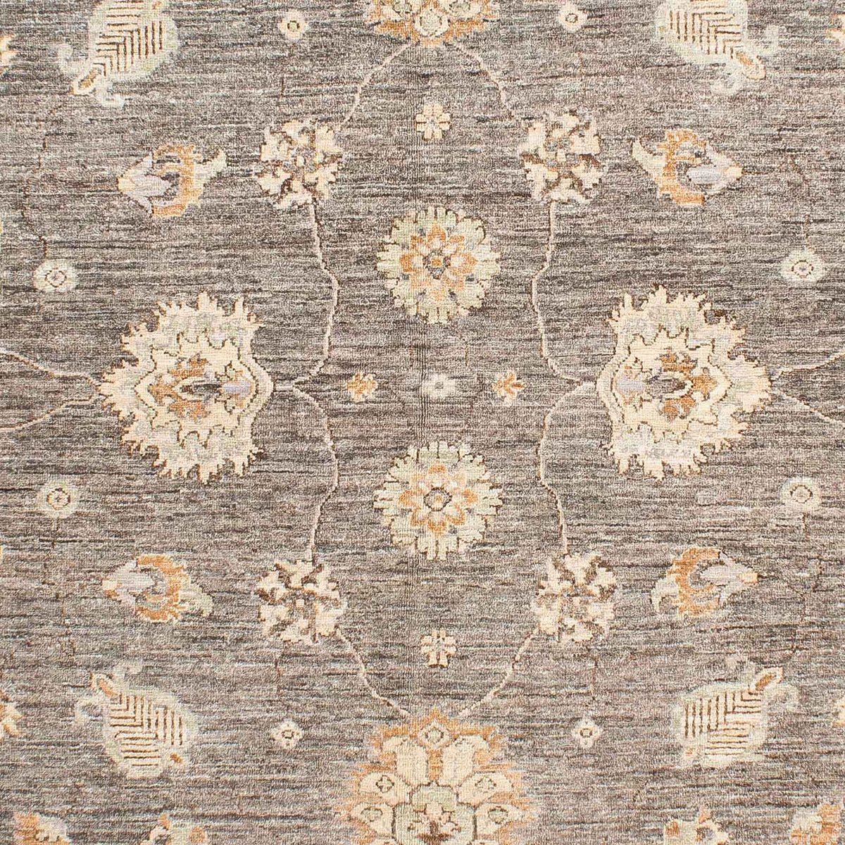 Ziegler Teppich 242 x 173 cm