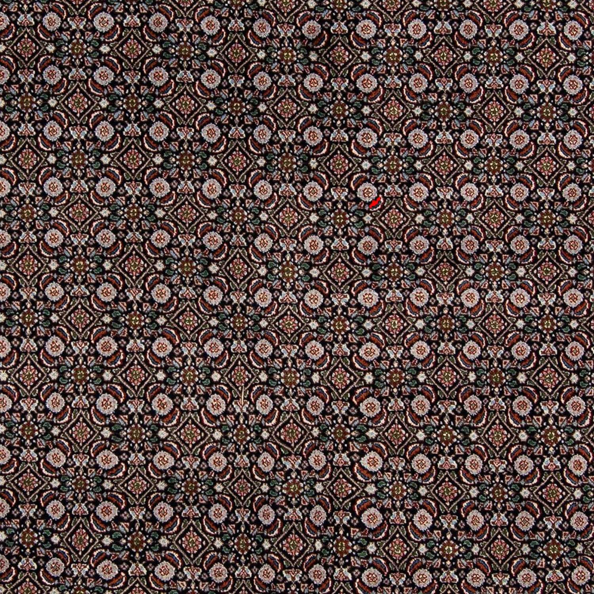 Perserteppich - Classic 295 x 192 cm - dunkelblau