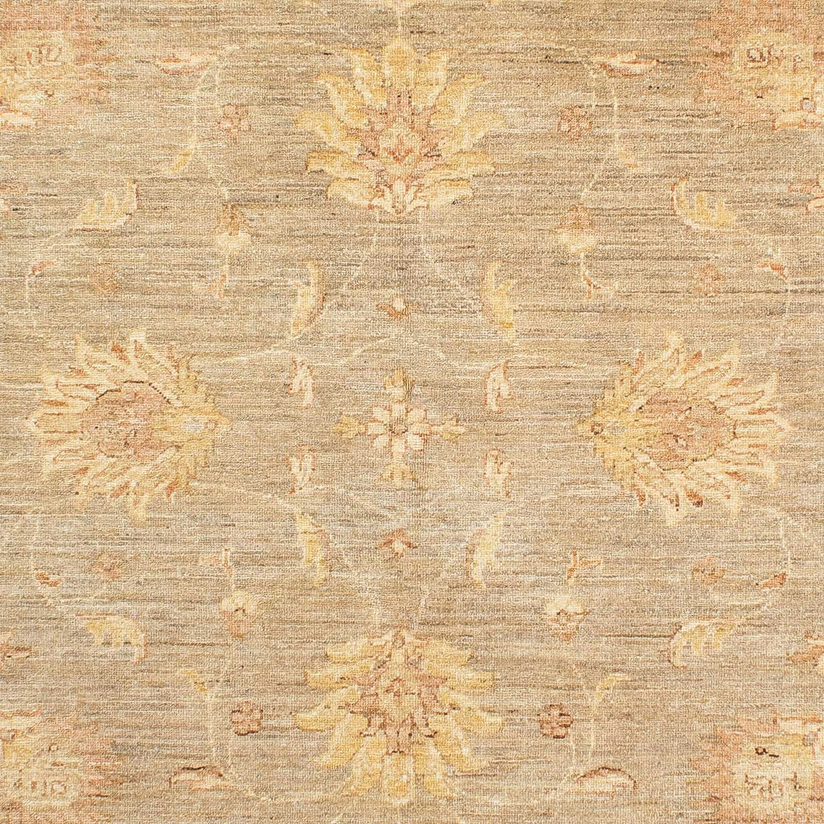 Ziegler Teppich 241 x 175 cm