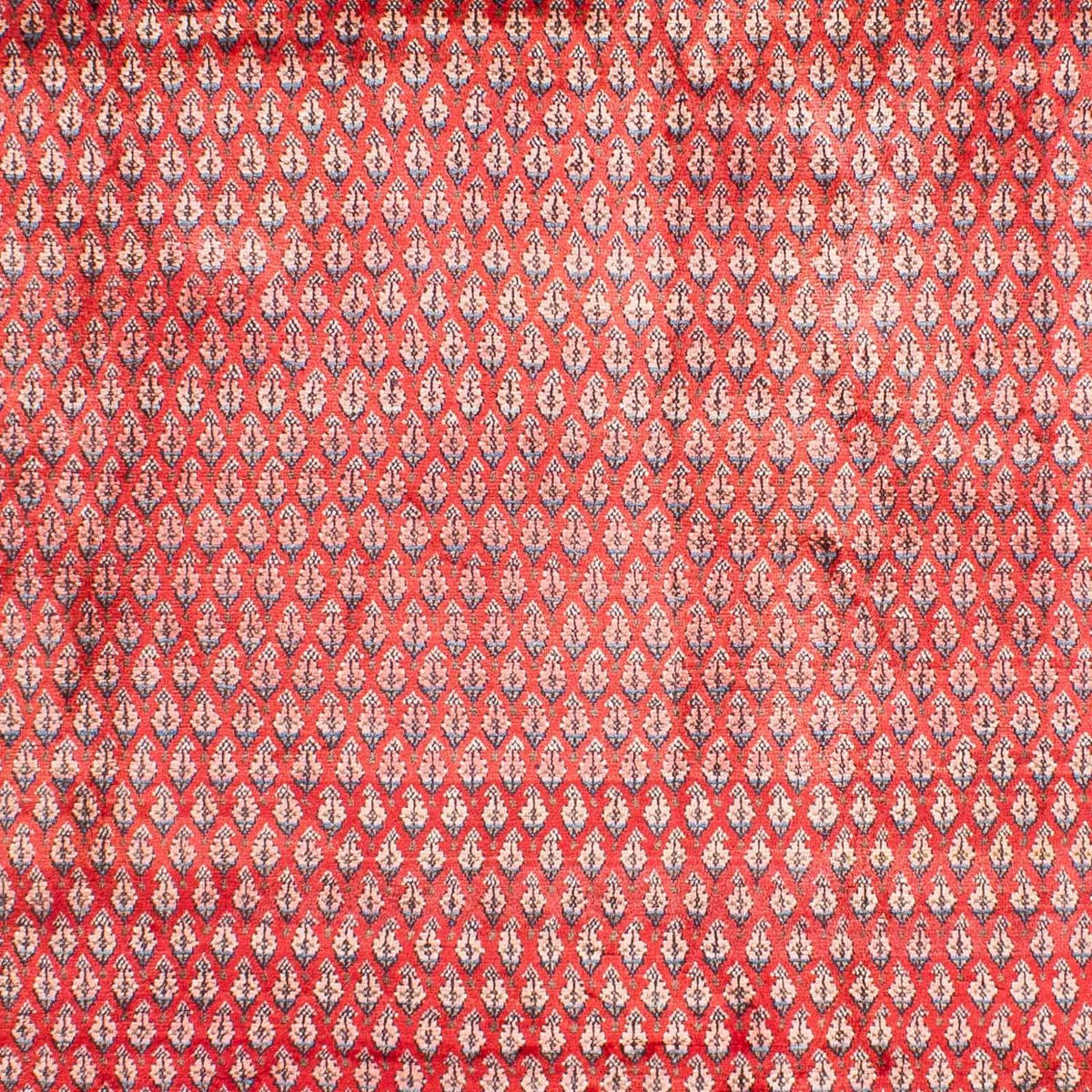 Perserteppich - Mir 317 x 219 cm