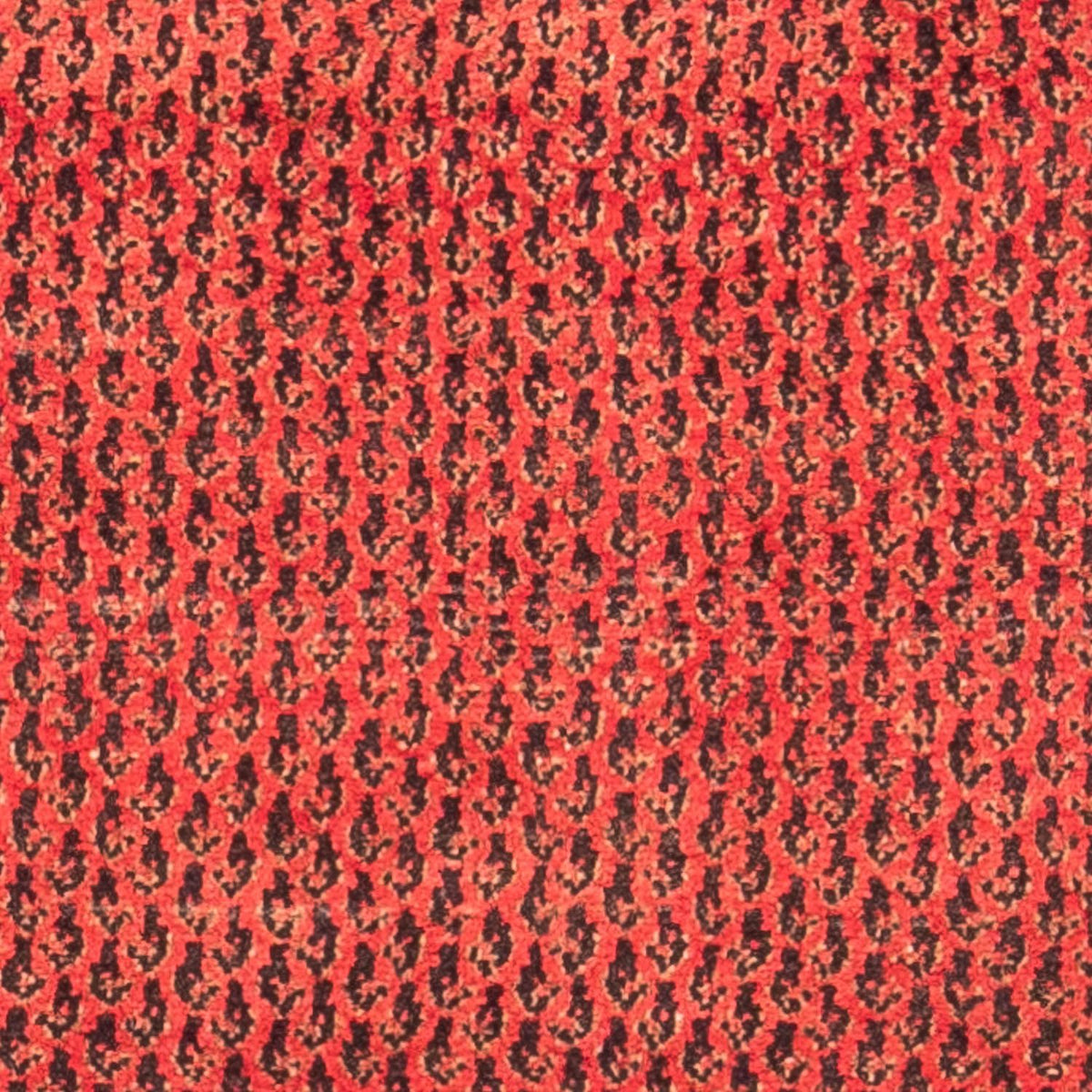 Perserteppich - Nomadic 312 x 112 cm