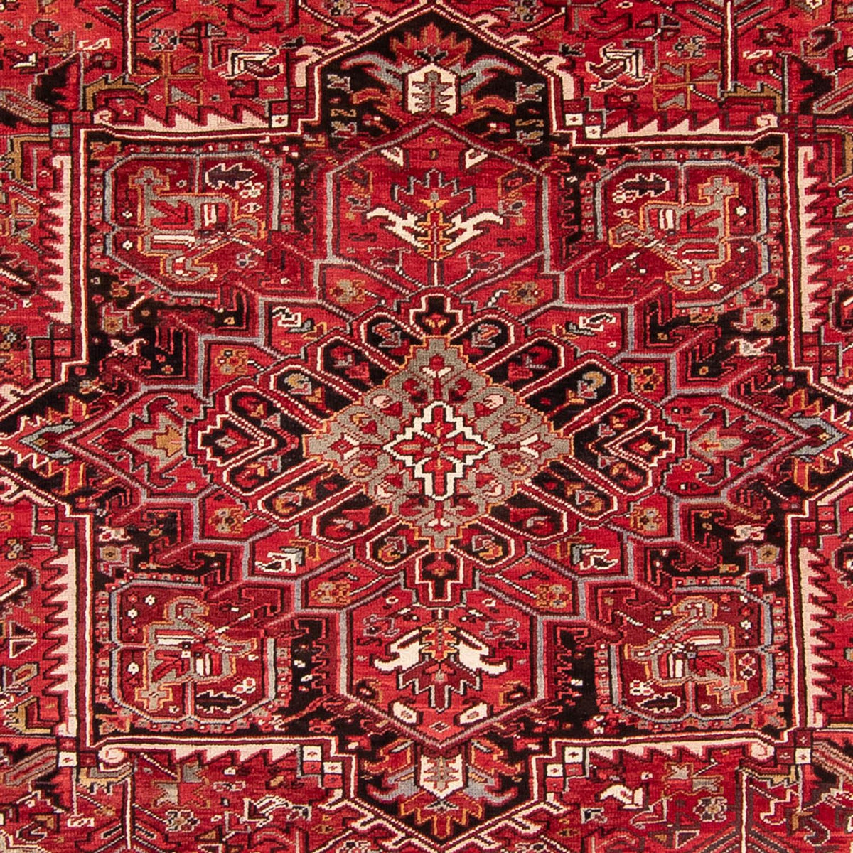 Perserteppich - Nomadic 361 x 267 cm