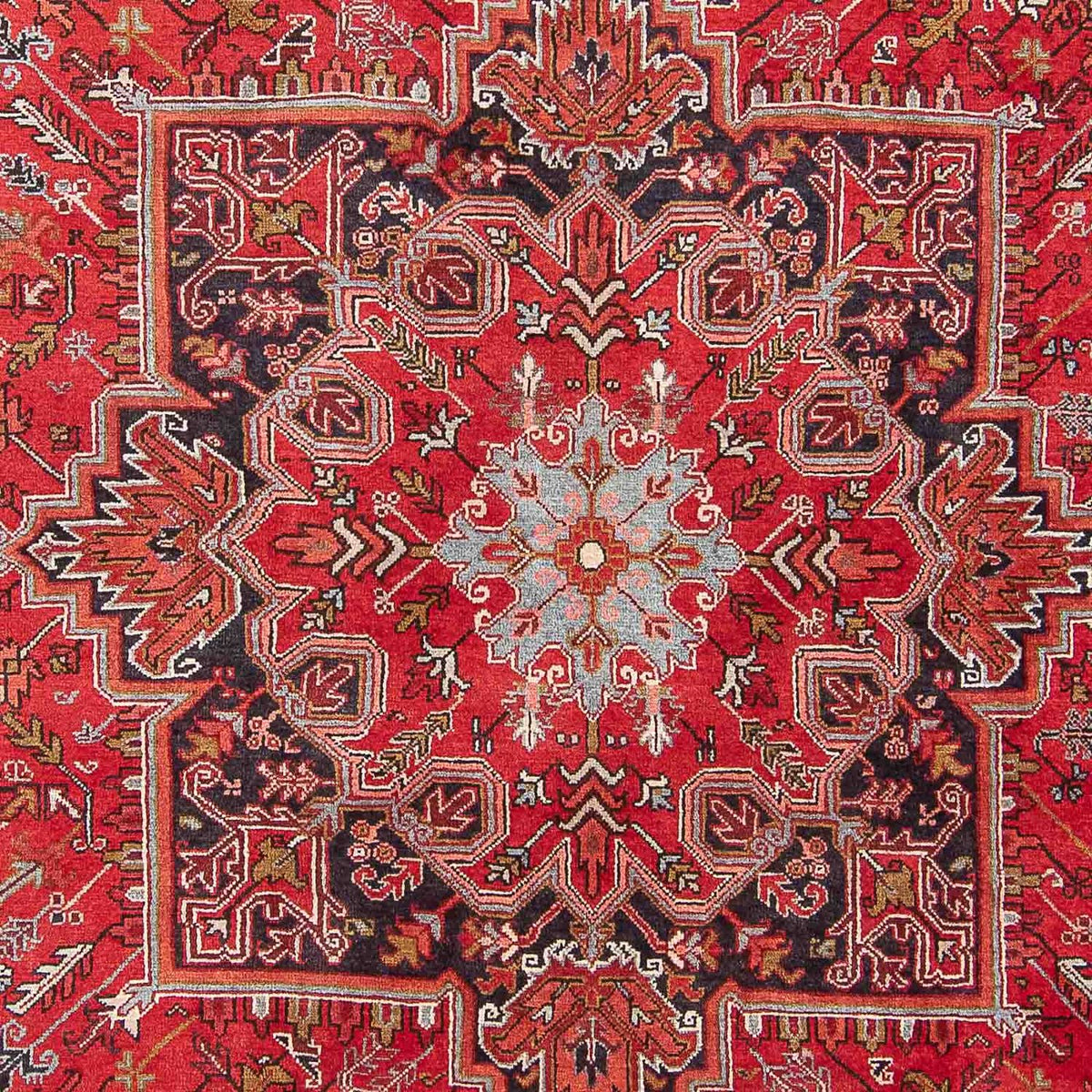 Perserteppich - Nomadic 331 x 248 cm