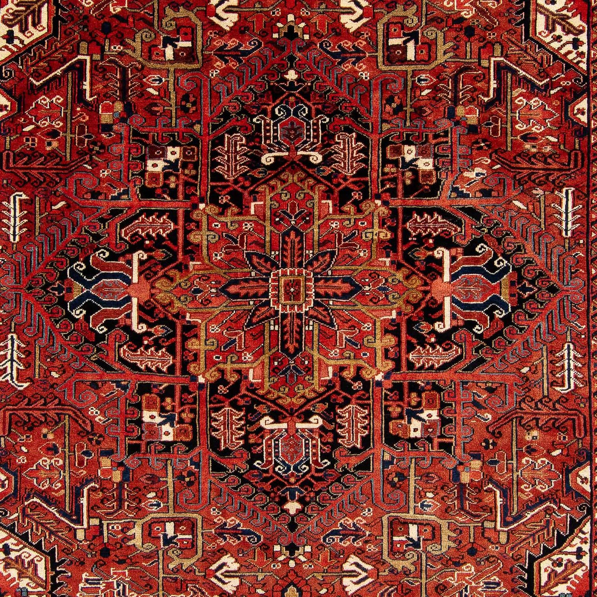 Perserteppich - Nomadic 380 x 260 cm