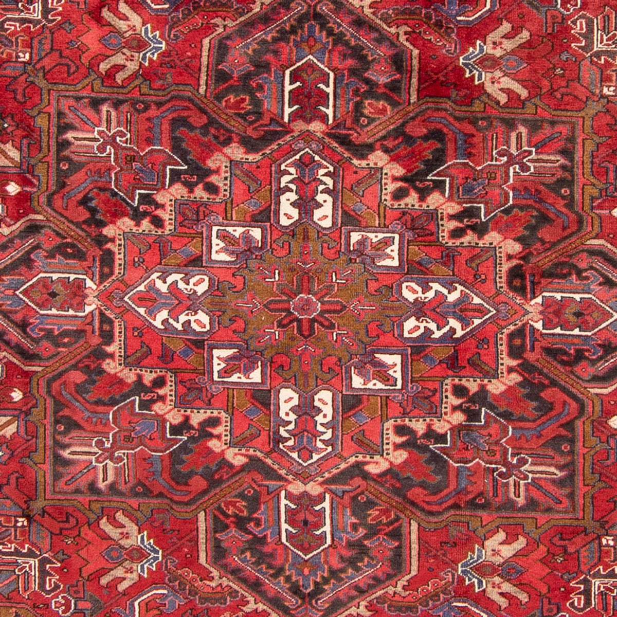 Perserteppich - Nomadic 326 x 247 cm
