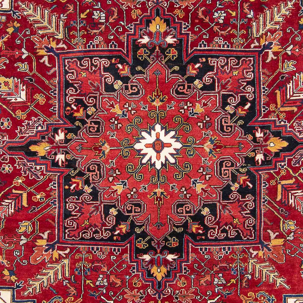 Perserteppich - Nomadic 323 x 230 cm