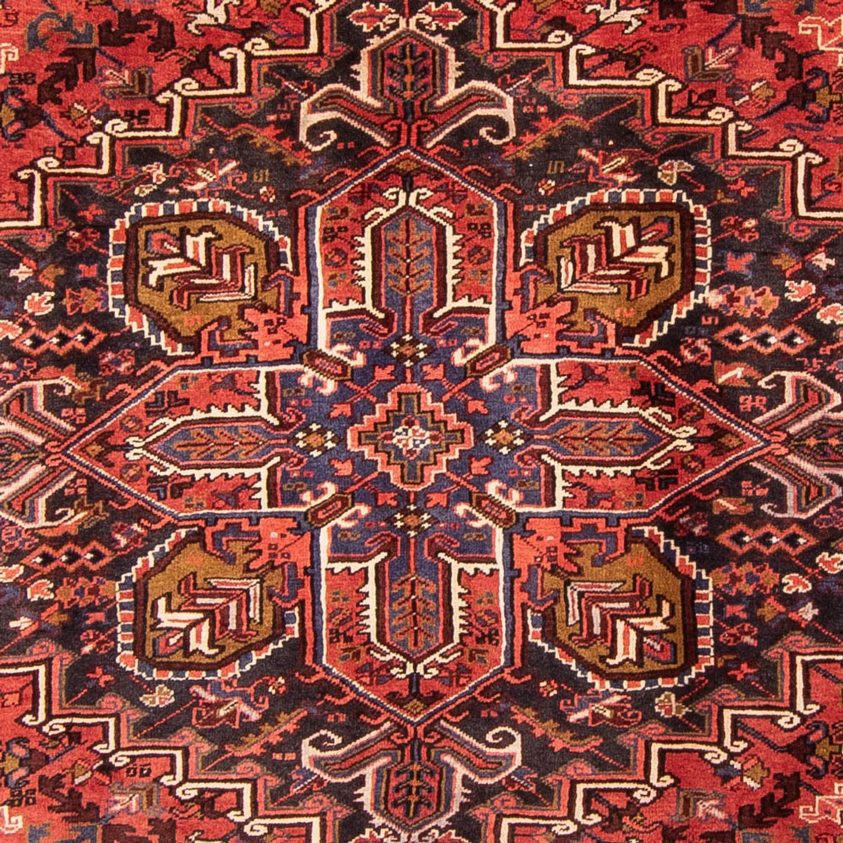 Perserteppich - Nomadic 340 x 260 cm