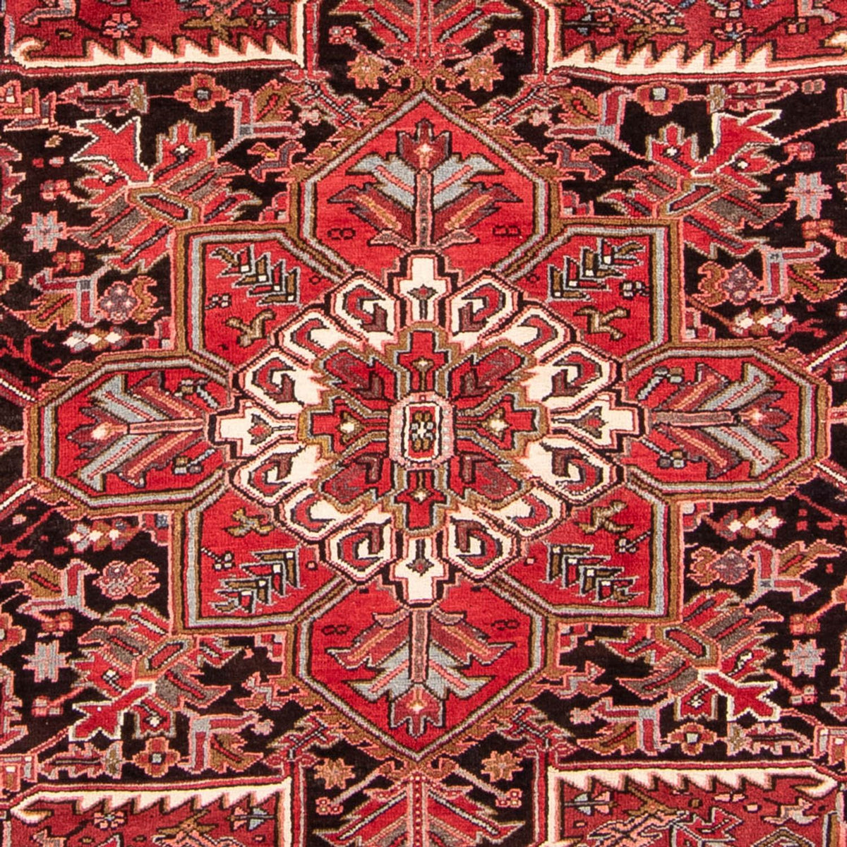 Perserteppich - Nomadic 342 x 252 cm