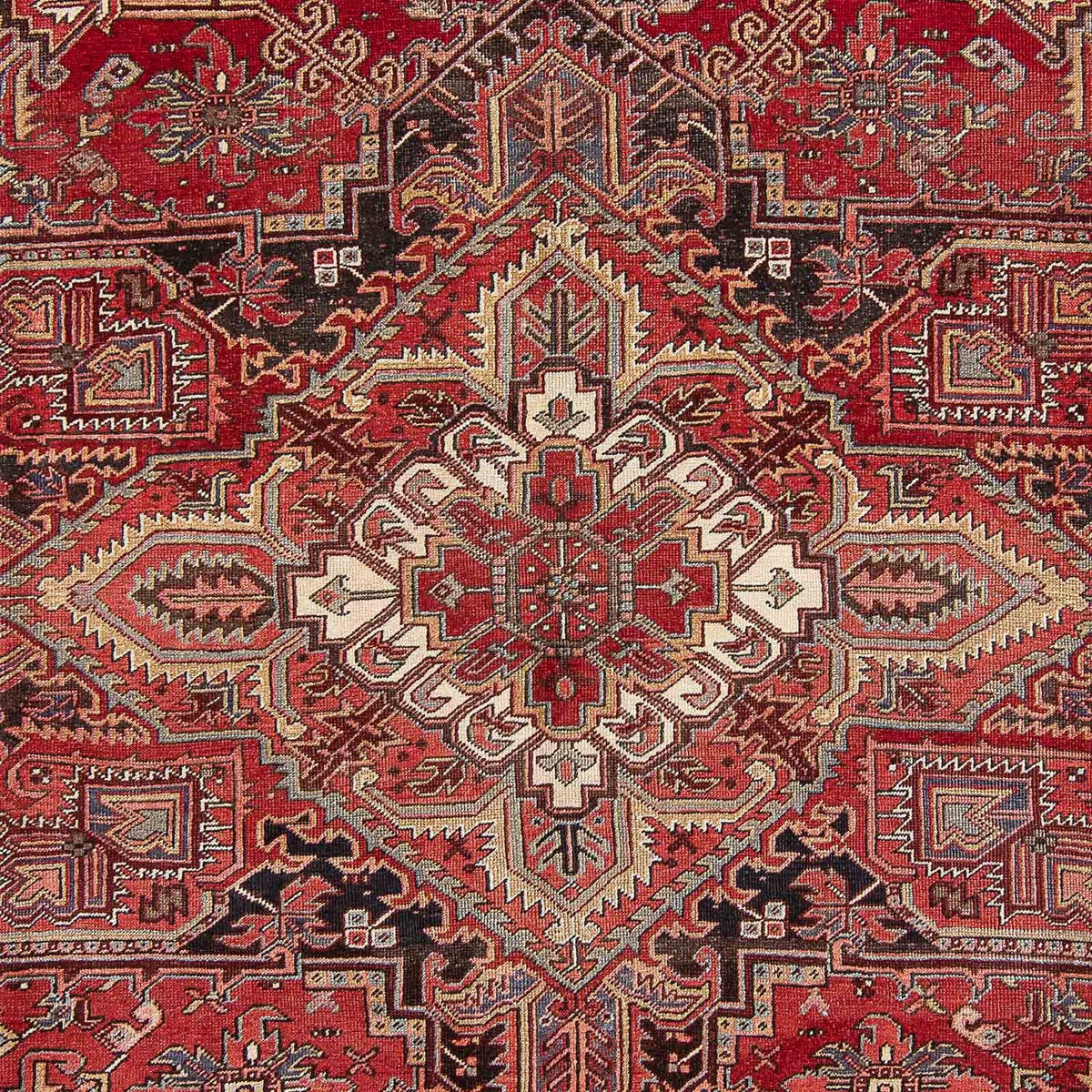 Perserteppich - Nomadic 404 x 313 cm