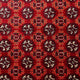 Afghan Teppich - Buchara 293 x 201 cm
