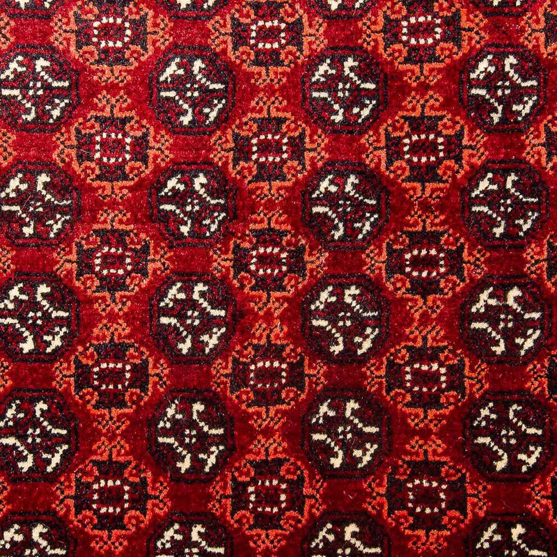 Afghan Teppich - Buchara 293 x 201 cm