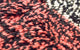 Hochflor Teppich 248 x 157 cm