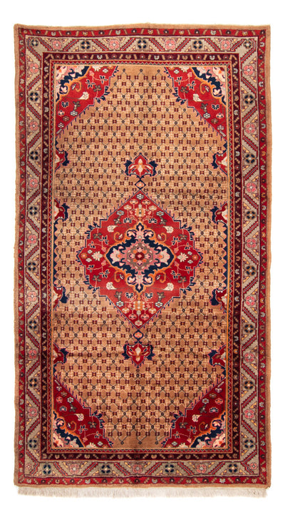 Hamadan Teppich 160x280cm - Perserteppich