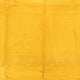 Gabbeh Teppich - Indus - 385 x 295 cm - gold