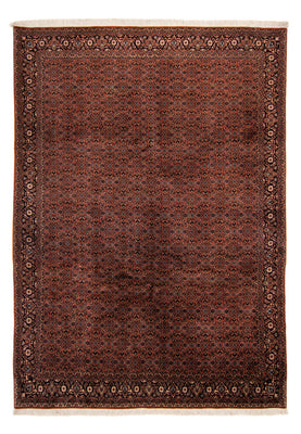 Perserteppich - Bidjar - Royal - 296 x 210 cm - braun