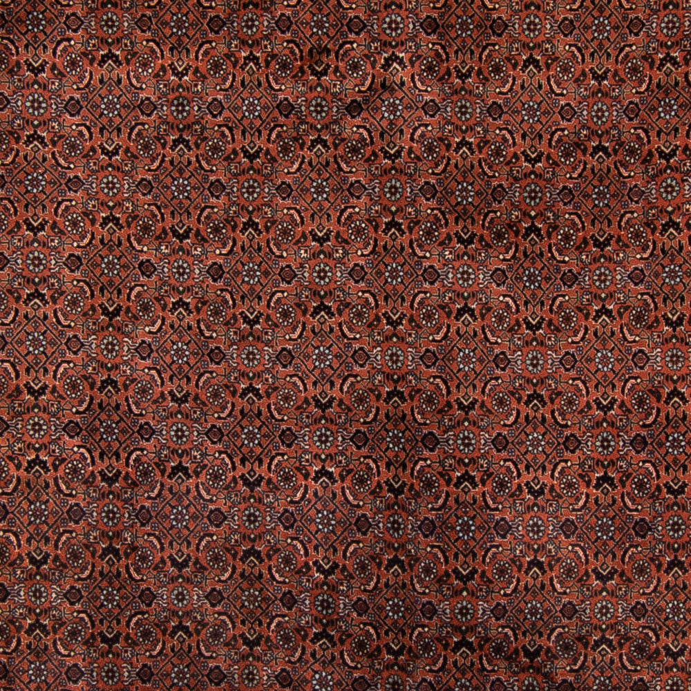 Perserteppich - Bidjar - Royal - 296 x 210 cm - braun