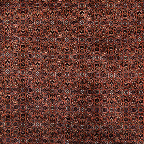 Perserteppich - Bidjar - Royal - 296 x 210 cm - braun