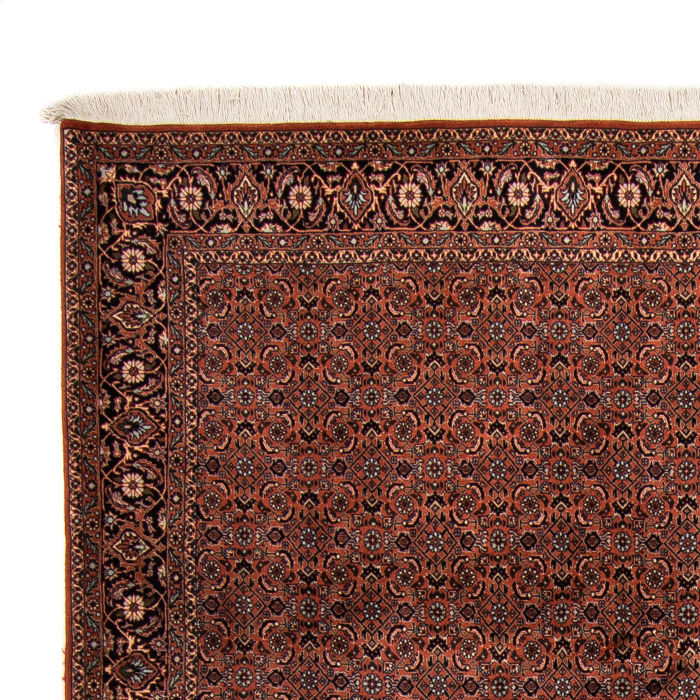 Perserteppich - Bidjar - Royal - 296 x 210 cm - braun