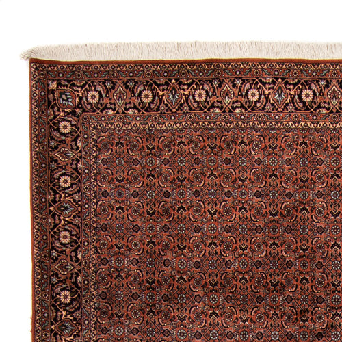 Perserteppich - Bidjar - Royal - 296 x 210 cm - braun