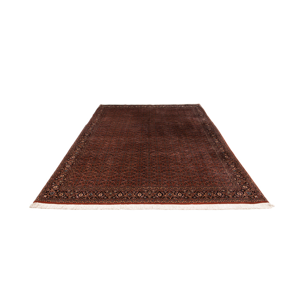 Perserteppich - Bidjar - Royal - 296 x 210 cm - braun