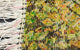 Bild-Teppich 98 x 77 cm Fußmatte