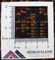 Belutsch Teppich 140 x 80 cm