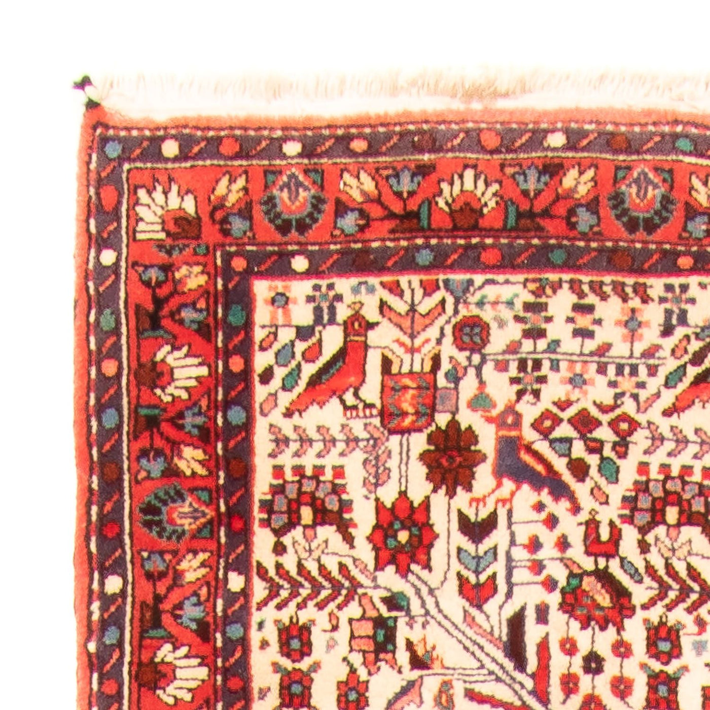 Rudbar Teppich 301x169cm - Perserteppich
