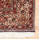 Perserteppich - Bidjar - Royal 290 x 177 cm