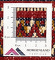 Turkaman Teppich 100 x 50 cm