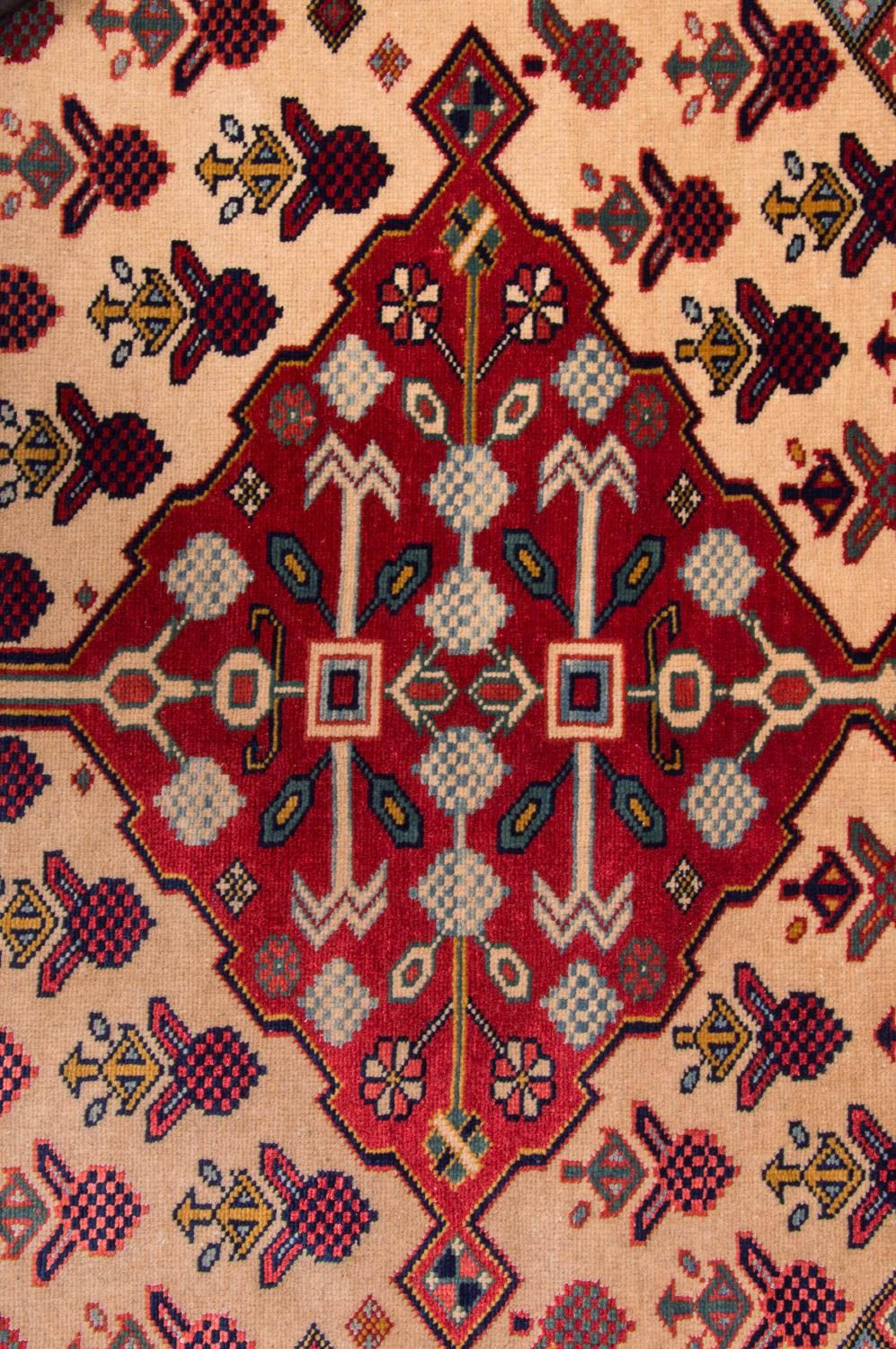 Ziegler Teppich - Schirwan 200 x 133 cm