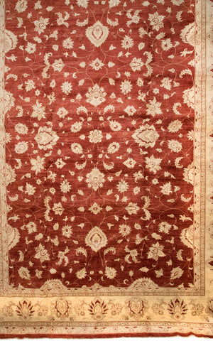 Ziegler Teppich 567 x 421 cm