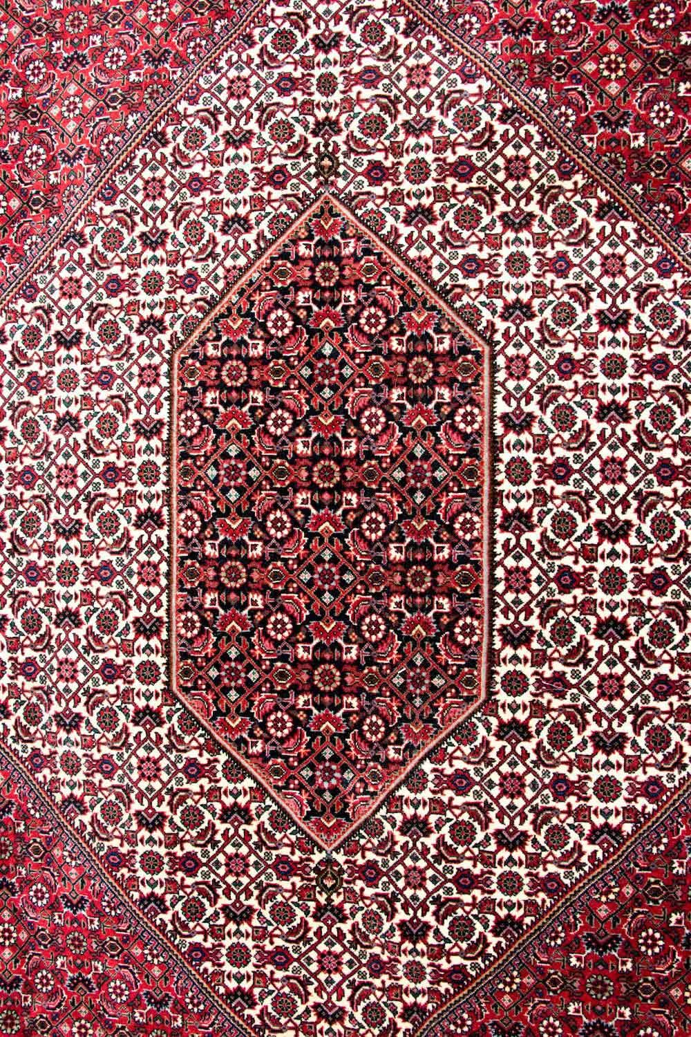 Perserteppich - Bidjar - Royal 310 x 250 cm