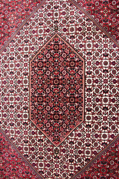 Perserteppich - Bidjar - Royal 310 x 250 cm