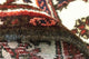 Perserteppich - Nomadic 106 x 59 cm