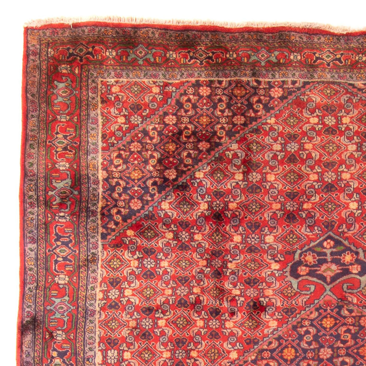 Ardebil Teppich 290x203cm - Perserteppich